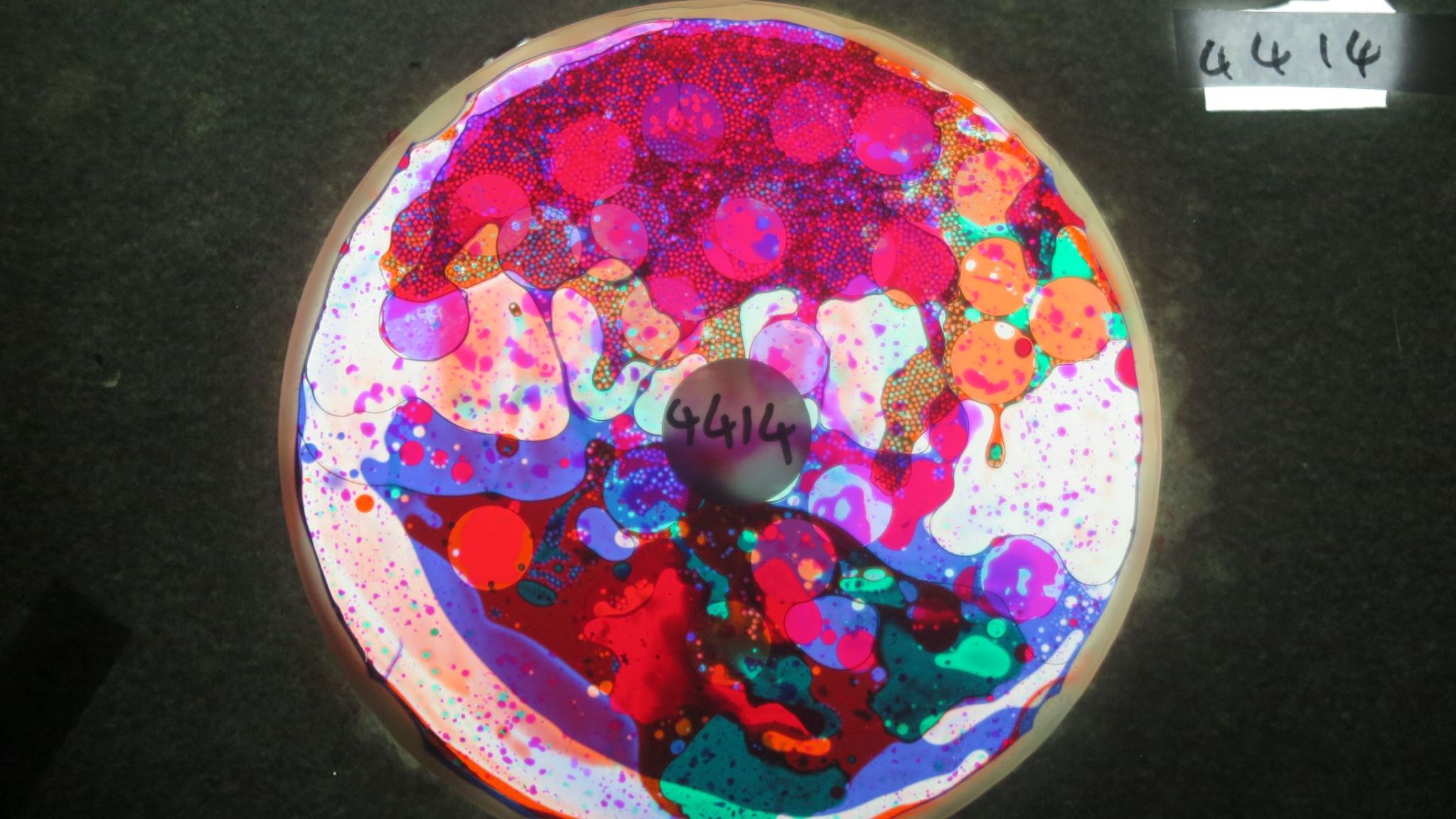 BV4414 bubble vision oil wheel